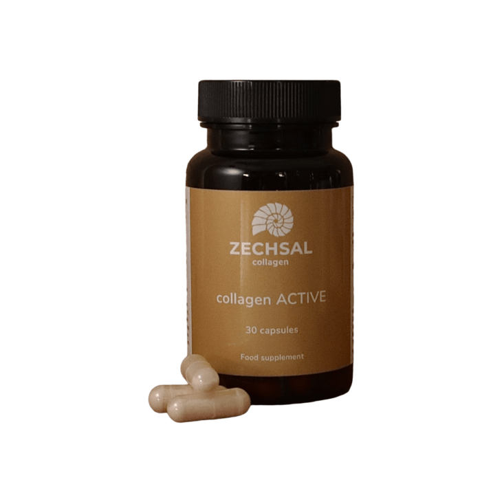 collagen_active_zechsal_Pedimed